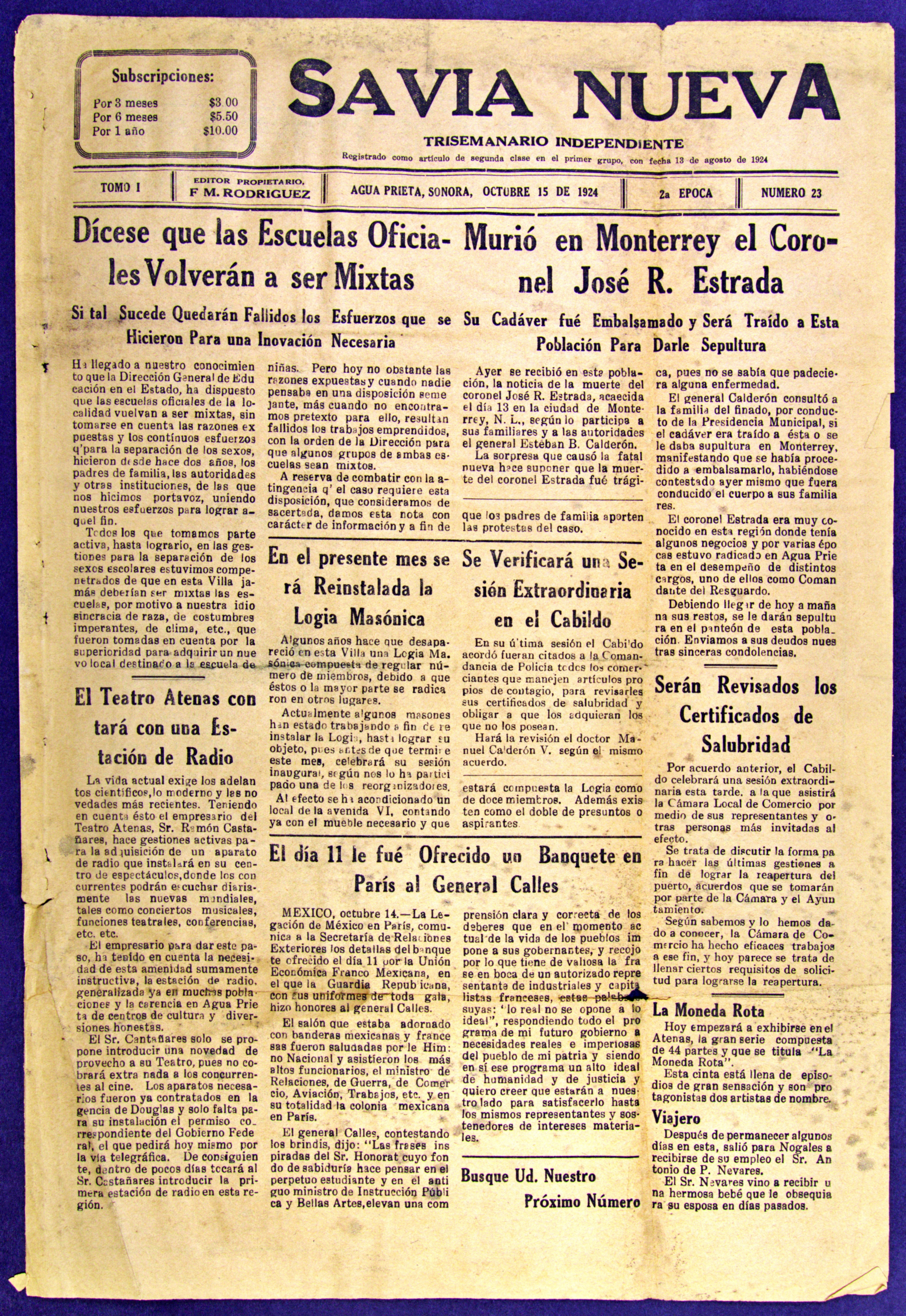 Imagen: Savia Nueva